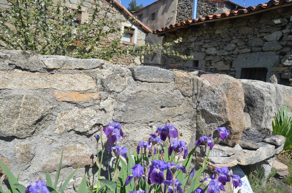 Casa Rural Almanzor Navarredonda de Gredos Ngoại thất bức ảnh